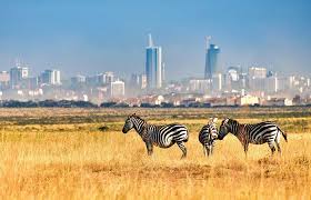 Nairobi national park,David sheldrick,Giraffe centre and Karen blixen day trip